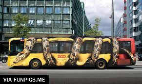 unconventional bus 12