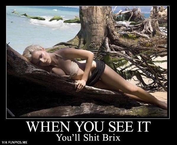 Can-You-Find-All-Of-Them