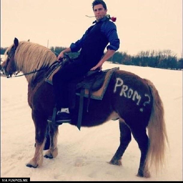 prom proposal 16
