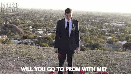 prom proposal 9