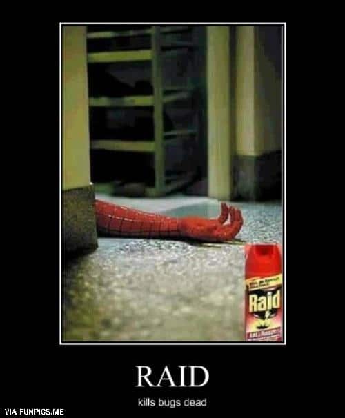 Raid kill all insects