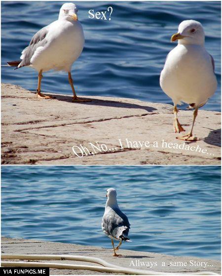 Always the same story