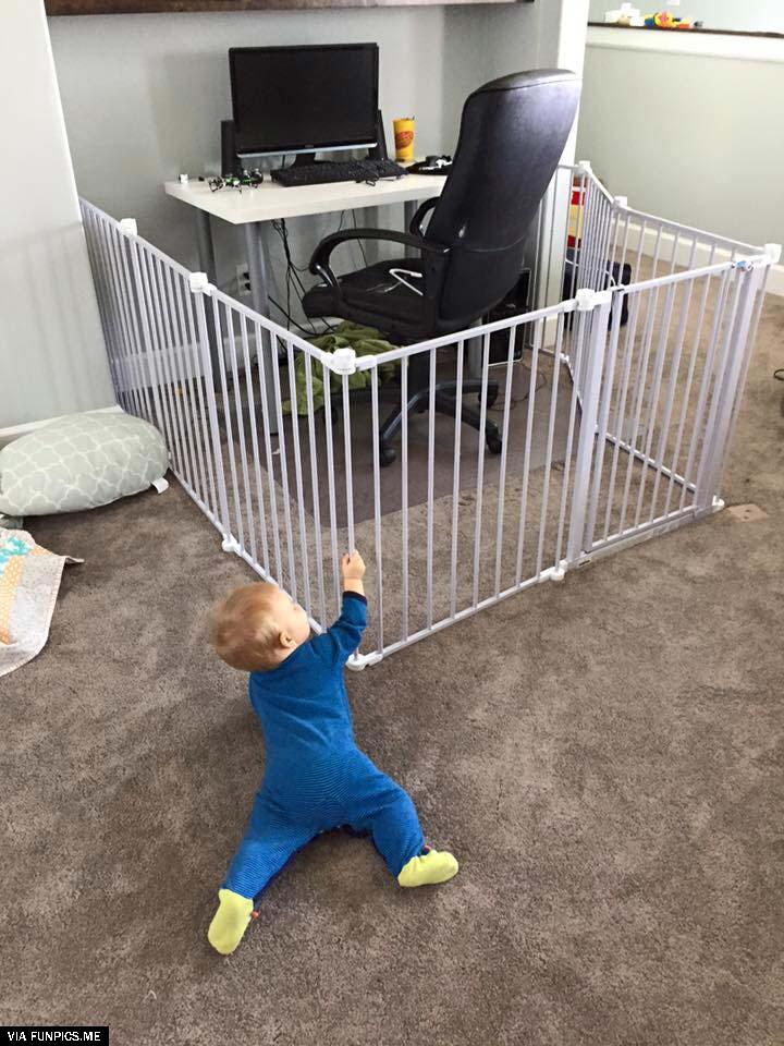 This is what attracts them the most