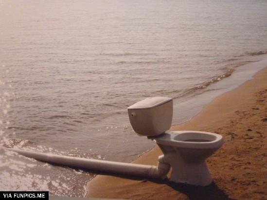 Where is toilet paper holder