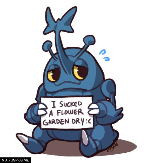 pokemon shaming heracross funny