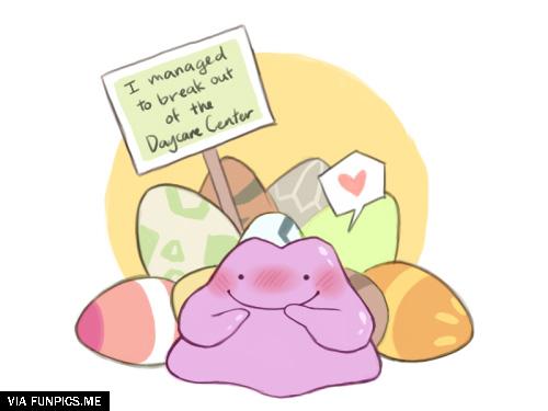 ditto pokemon shaming funny