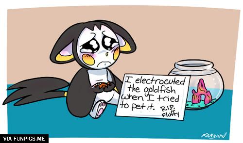 pokemon shaming emolga funny