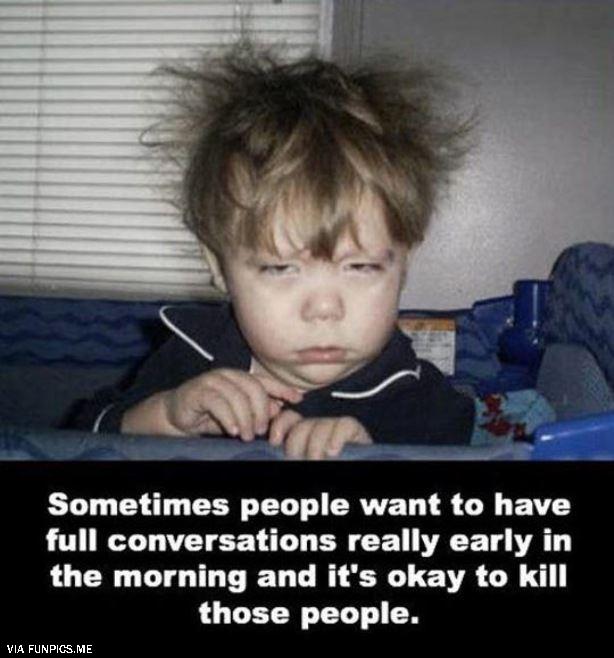 dailyhaha funny pictures