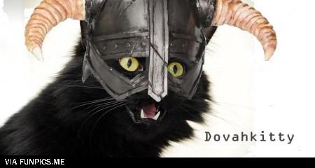 lolcatsdotcomhzx20lzd1cf059pe