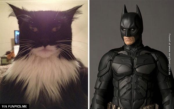 funny-pictures-real-life-cartoon-lookalikes-01