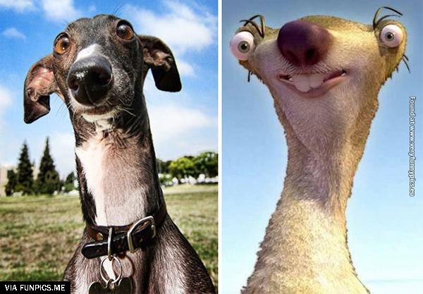 funny-pictures-real-life-cartoon-lookalikes-23