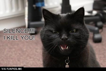 lolcatsdotcomg0dpsaridky95ylq