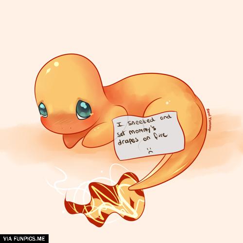 pokemon shaming charizard funny