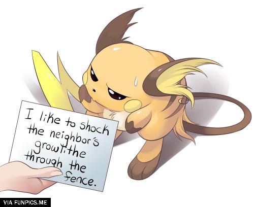 raichu pokemon shaming funny
