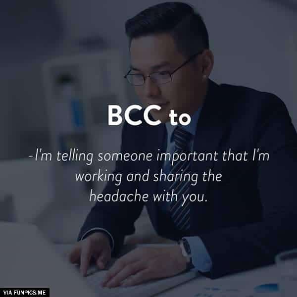 13335861_1633762940282194_6993156435864702896_n