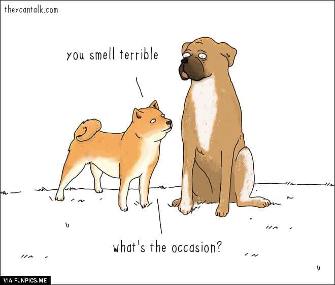 You smell terrible. Whats the occasion