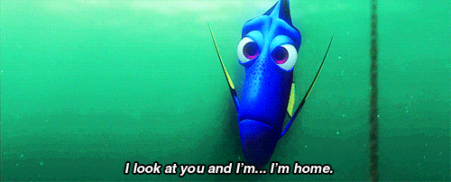 finding dory facts 
