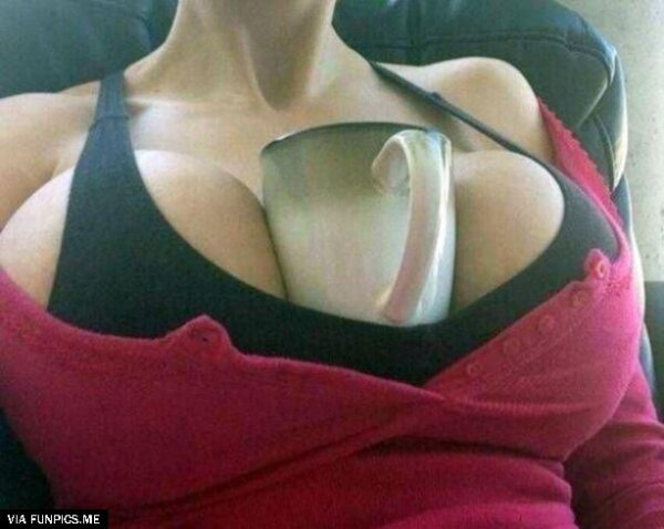 Advanced_Cup_Holder568