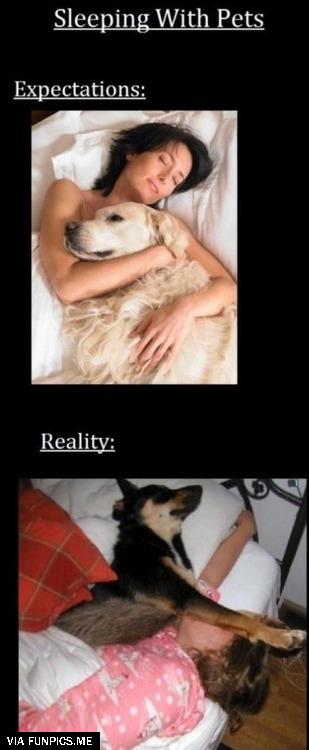 The reality when you sleep with pets revealed