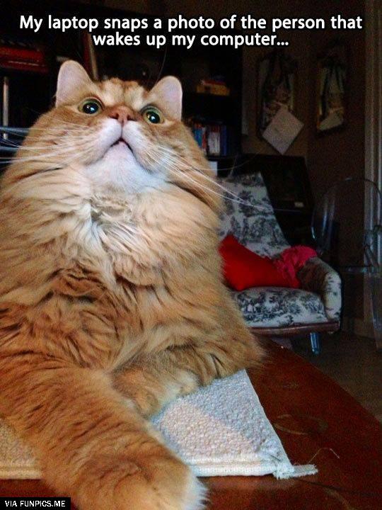 Surprise it’s me using your laptop