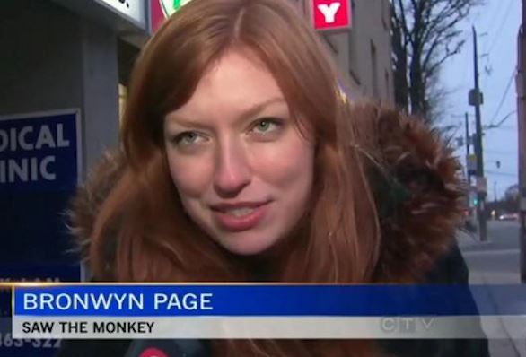 funny-stories-on-tv-news-10