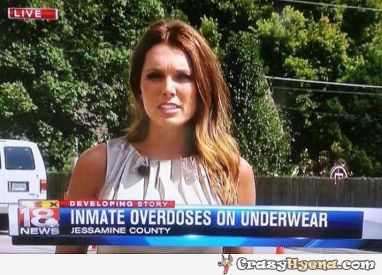 funny-stories-on-tv-news-14