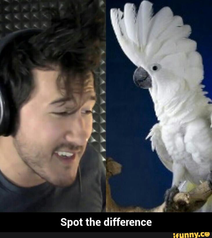 spot-the-difference-2
