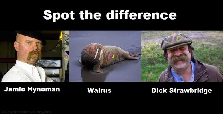 spot-the-difference-4