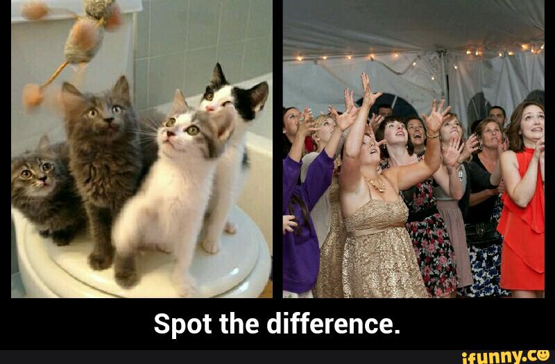 spot-the-difference-8