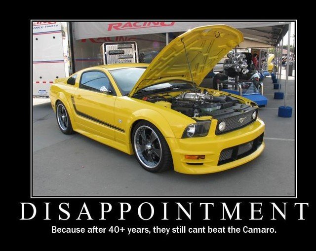 funny-car-quotes-13