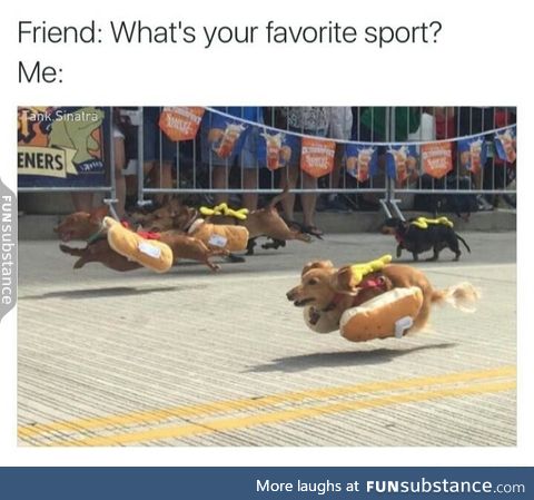hot-dog-racing