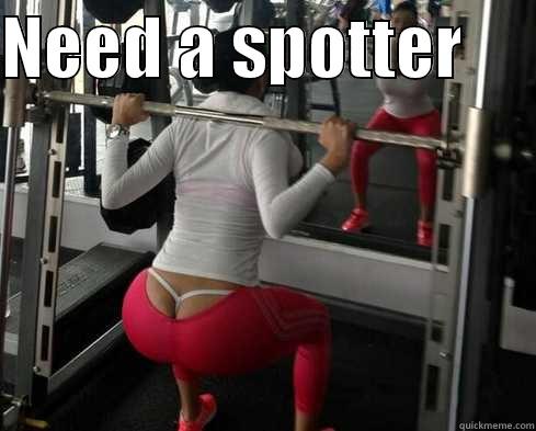 Funny workout memes - Need a spotter!