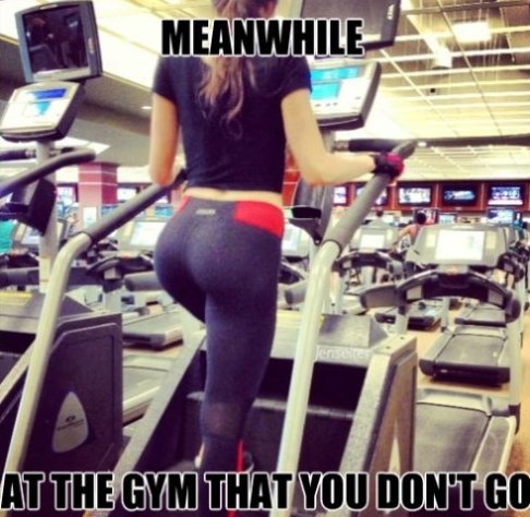 Funny workout memes - Meanwhile at the gym you don't go