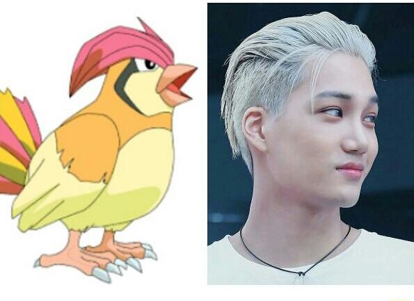 Pidgeotto haircut is Hotter