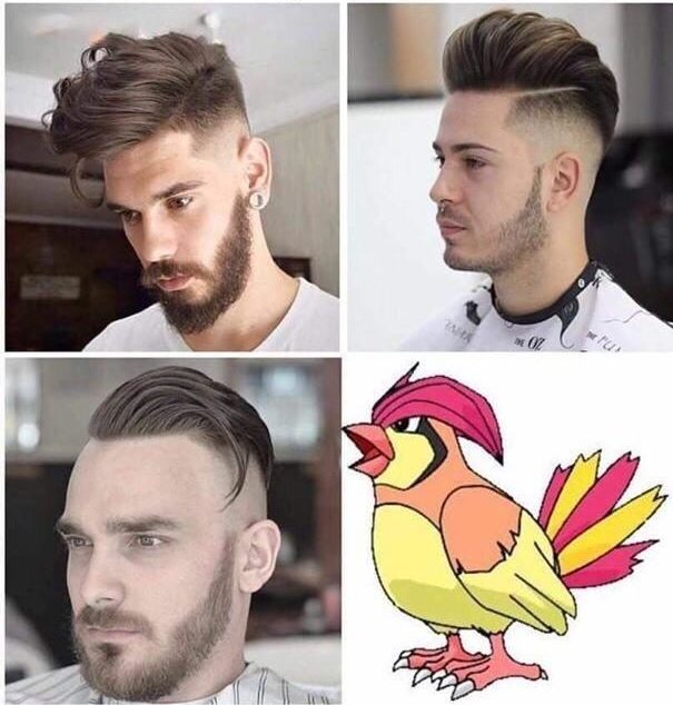 Pidgeotto haircut style
