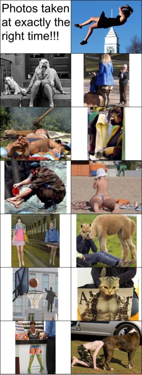 Photos taken at the exactly right time