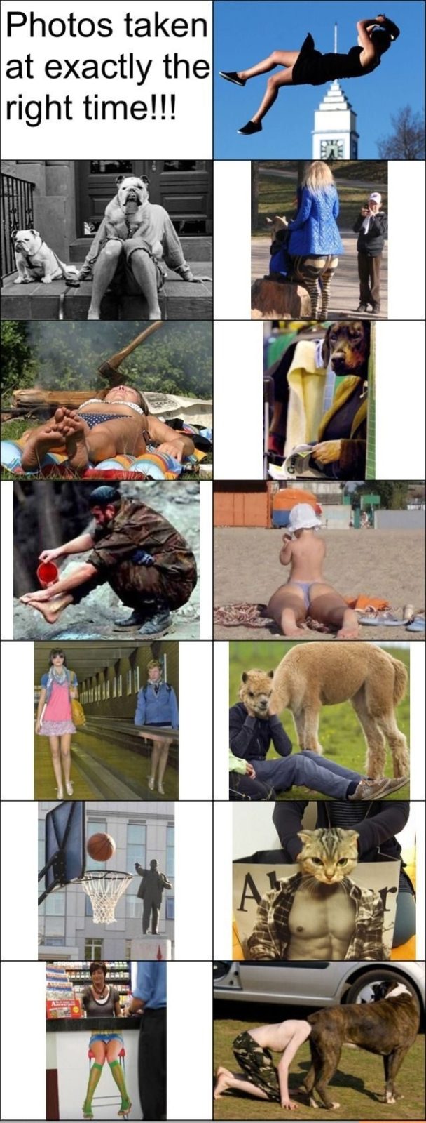 Photos taken at the exactly right time