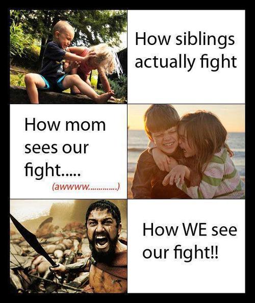How we see our fight