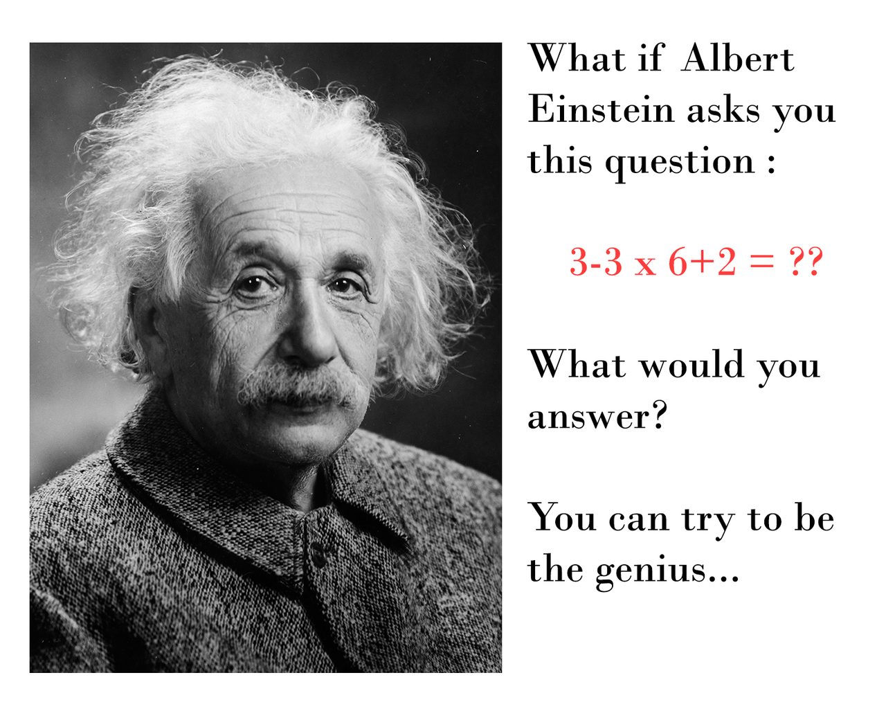 Albert Einstein Question