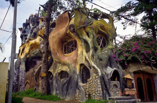 Strange Homes - The Tree House
