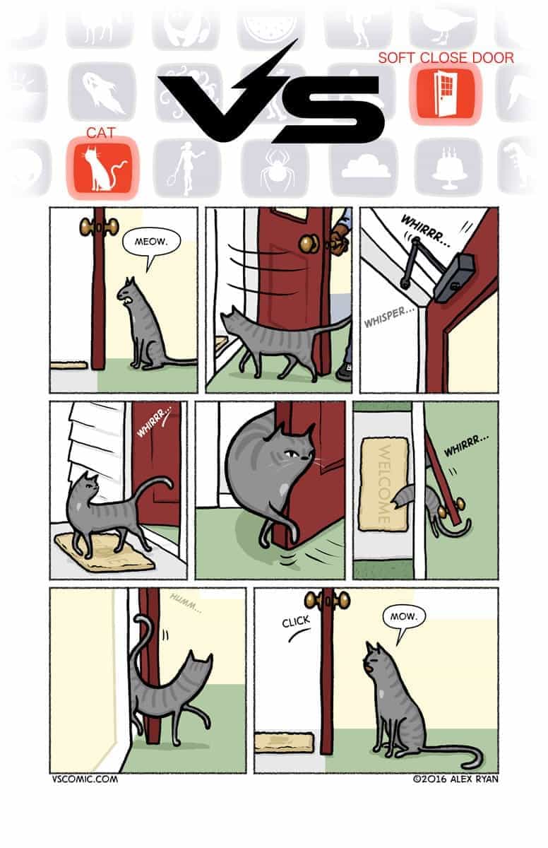 cat-vs-softclosedoor