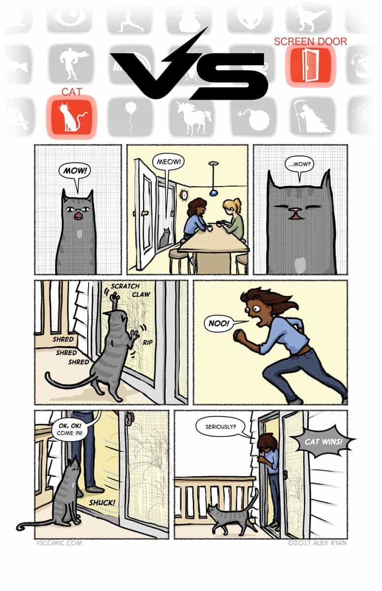 Battle between Cat versus Woman