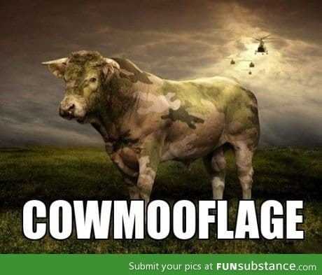 Best cowmooflage