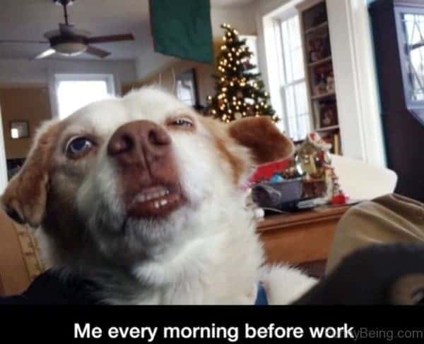 Me every morning before work
