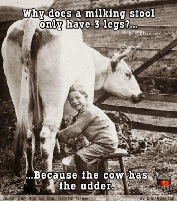 Why does a milking stool only have 3 legs?