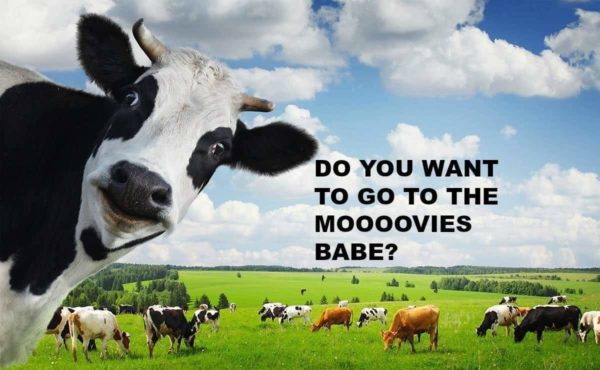 Do you want to go to the mooovies?