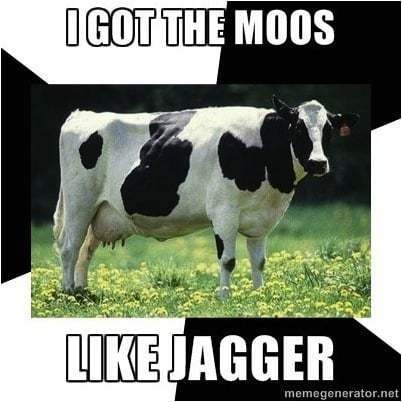 I got the moos like Jagger