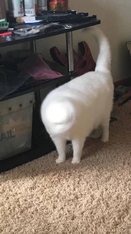 freaky pictures to send to your boyfriend