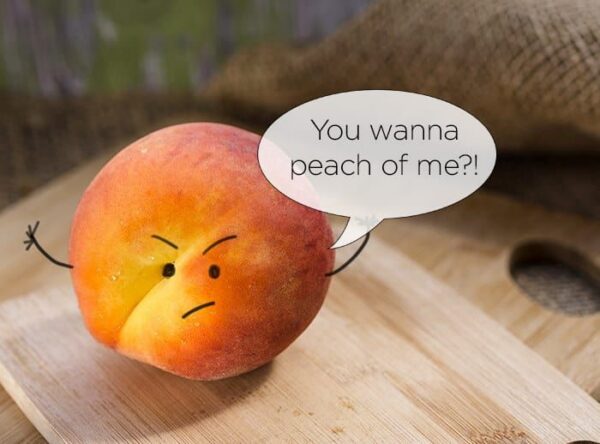 funny food pictures