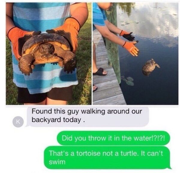 funny text message fails 14